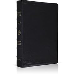  ESV Large Print Bible (Black)