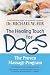 The healing touch for dogs