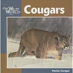 Cougars (Our Wild World)