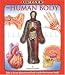 Uncover the Human Body: An Uncover It Book by Luann Colombo