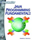 Java Programming Fundamentals (CyberRookies Series) (Cyberrookies Series)