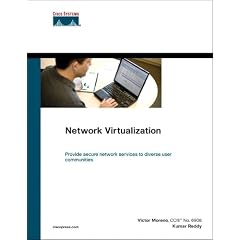Network Virtualization (Networking Technology)