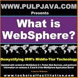 What is WebSphere? Java, J2EE, Portal and Beyond! (Demystifying IBM's Middle Tier Technology, Vol. 1)