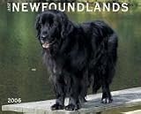 Just Newfoundlands 2006 Calendar (Just)