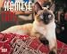 Siamese Cats 2007 Calendar