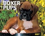 Just Boxer Puppies 2007 Calendar (Just)