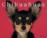 Just Chihuahuas 2007 Calendar (Just)