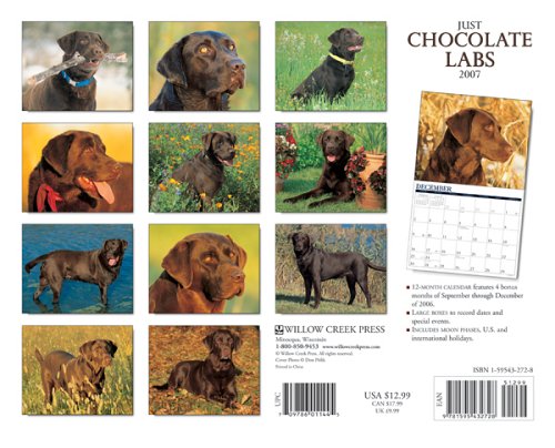 Just Chocolate Labs 2007 Calendar (Just)