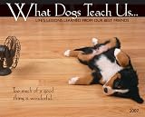 What Dogs Teach Us 2007 Calendar