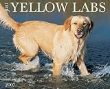 Just Yellow Labs 2007 Calendar (Just)