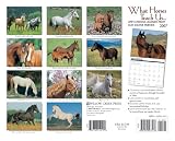 What Horses Teach Us... 2007 Calendar: Life\'s Lessons learned from our Equine Friends : No one understands you like your mother