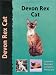 All Products : Devon Rex Cat (Pet Love)