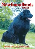 Newfoundland Today (Book of the Breed S)