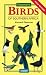 Newman's Birds of Southern Africa by Kenneth Newman