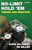 No Limit Hold \'em: Theory and Practice