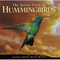 The Secret Lives of Hummingbirds