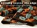 Knitting Beyond the Edge: Cuffs and Collars*Necklines*Hems*Closures - The Essential Collection of Decorative Finishes