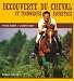 Découverte du cheval et techniques équestres
