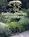 JARDINS d'HERBES AROMATIQUES