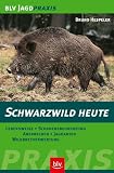 Schwarzwild heute  Blv Buchverlag