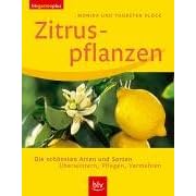 Zitruspflanzen. Die schönsten Arten und Sorten. Überwintern, Pflegen, Vermehren (Broschiert)