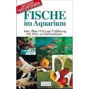 Fische im Aquarium (Gebundene Ausgabe)