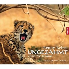 Ungezähmt. Tiere der Wildnis / Vorwort von Heinz Sielmann (Gebundene Ausgabe)