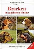 Bracken im jagdlichen Einsatz  Neumann-Neudamm