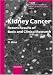 Kidney Cancer: Recent Results of Basic and Clinical Research (Contributions to Nephrology)