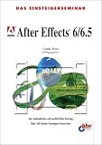Das Einsteigerseminar Adobe After Effects 6 / 6.5. Der methodische und ausf�hrliche Einstieg.  Vmi Buch
