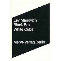 Black Box - White Cube (Broschiert)