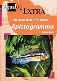 Aqualog Extra: The Latest Apistogramma