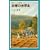 砂糖の世界史 (岩波ジュニア新書)