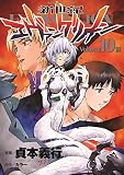新世紀エヴァンゲリオン (10)