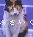 増見 芳隆: ぶさいく