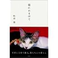 猫にかまけて (1 クリップ)