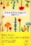 プラネタリウムのあとで