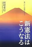 新憲法はこうなる―美しいこの国のかたち