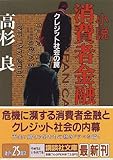 小説 消費者金融―クレジット社会の罠