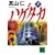 ハゲタカ(上) (講談社文庫)