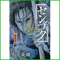 センゴク (ヤングマガジンコミックス) 全 15 巻