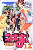 魔法先生ネギま! (12)