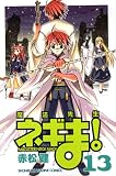 魔法先生ネギま! (13)