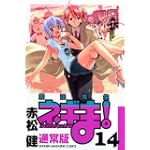 魔法先生ネギま! (14) (少年マガジンKC)