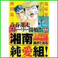 湘南純愛組! (プラチナコミックス) 1～17 巻