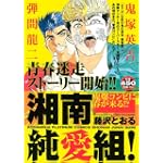 湘南純愛組！　鬼爆コンビに春が来る！？ (講談社プラチナコミックス)