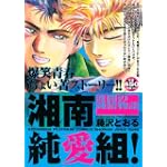 湘南純愛組！　波間の純情物語 (講談社プラチナコミックス)