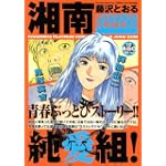 湘南純愛組！　紫のケンメリ女教師参上！ (講談社プラチナコミックス)