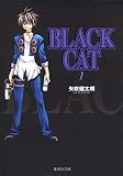 Black cat (1)