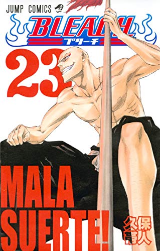 BLEACH (23)